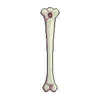femur bone leg bone 015 v3 2026 02 20t21 42 17