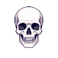 human skull front view skull 001 2026 02 20t21 42 17