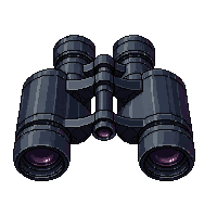 binoculars black rubber dual lens strap