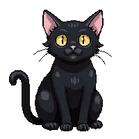 black cat sitting yellow eyes arched