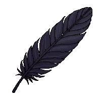 feather black raven large quill dark
