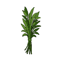 herb bundle dried green tied string healing