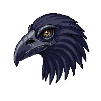 raven skull bird small beak dark
