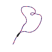 horror tripwire thin string trigger