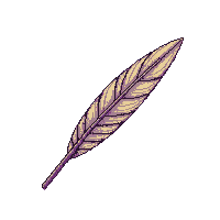 items consumables 0064