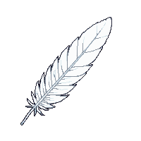 items consumables 0088