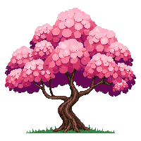 japane cherry tree sakura blossom 039 v4 2026 03 25T19 14 54