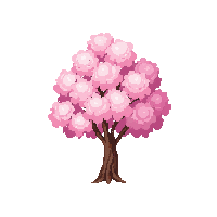 japane cherry tree sakura blossom 089 v9 2026 03 25T19 14 54