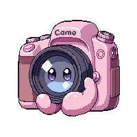 camera