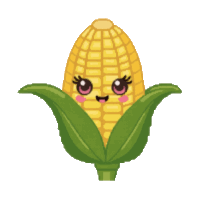 corn 1