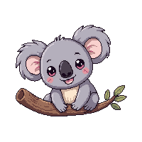 koala 1