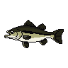 legendarycatch 2899 largemouth bass
