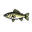 legendarycatch 2736 swimbait shad