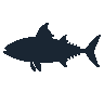 legendarycatch 2468 bigeye tuna sil
