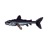 legendarycatch 2869 cornetfish