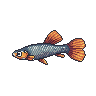 legendarycatch 2870 guppy