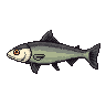 legendarycatch 2880 hatchetfish
