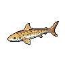 legendarycatch 2881 zebra shark