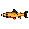 legendarycatch 2884 cutthroat trout