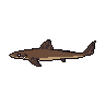legendarycatch 2889 american eel