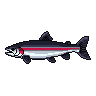 legendarycatch 2905 coho salmon