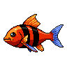 legendarycatch 2910 flame angelfish