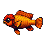 legendarycatch 2926 flowerhorn