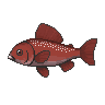 legendarycatch 2955 red grouper