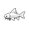 legendarycatch 2960 white catfish