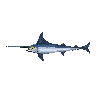 legendarycatch 2961 white marlin