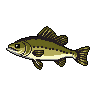legendarycatch 2968 spotted bass