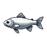 legendarycatch 2976 silver carp