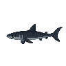 legendarycatch 2982 tiger shark