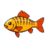 legendarycatch 2986 yellow perch