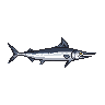 legendarycatch 2988 king mackerel