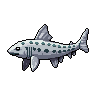legendarycatch 2996 leopard shark