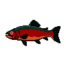 legendarycatch 2999 sockeye salmon
