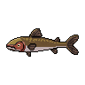 legendarycatch 3055 shortnose gar