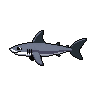 legendarycatch 3085 blacktip shark