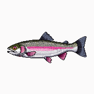legendarycatch 3315 fish rainbow trout