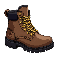 sturdy hiking boots  gold buckled