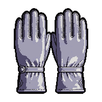 leather gloves  polished silver