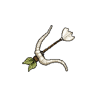 hunting bow ivory white