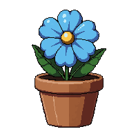 blue flower  potted in clay pot