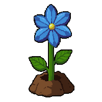 blue flower  tiny seedling sprouting