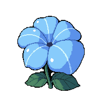 blue flower  with morning dew drops
