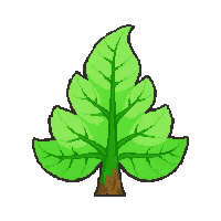 fern frond  fresh and vibrant