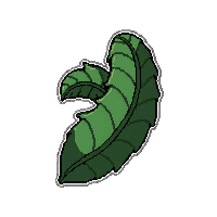 fern frond  wilted and sad