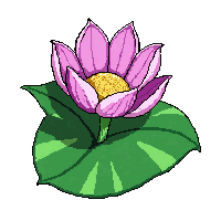 lily pad  with butterfly