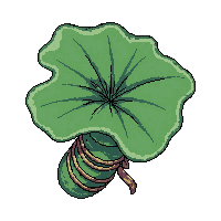 lily pad  wrapped in twine bundle